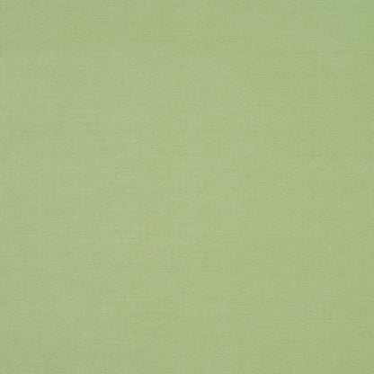SCHUMACHER  MARK D. SIKES JUDY TEXTURE WOVEN WOVEN CELADON   - 83744