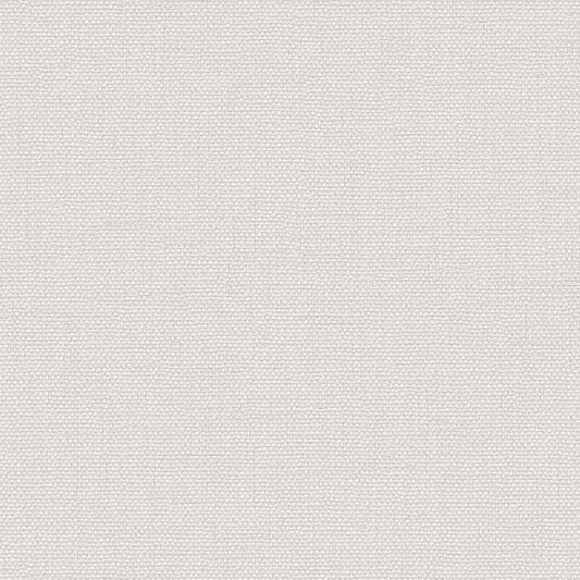 VEER DECOR Exclusive Thread Silver Wallpaper Texture Transitional, Traditional, Contemporary Silver  Wallpaper - 8385-AD1