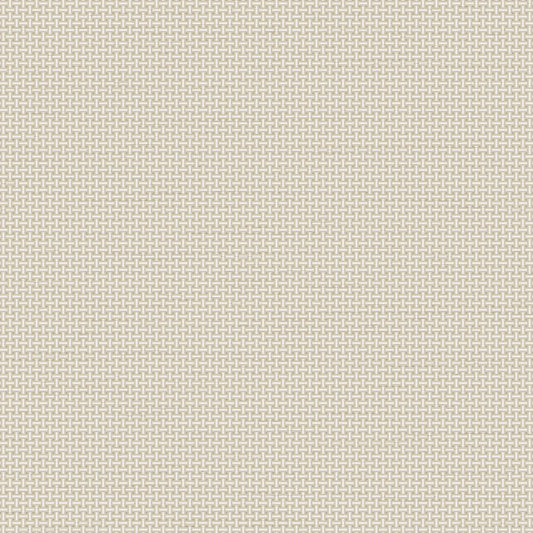 VEER DECOR Cane Lattice Sage Wallpaper Geometrics Traditional Sage  Wallpaper - 8386-AC2
