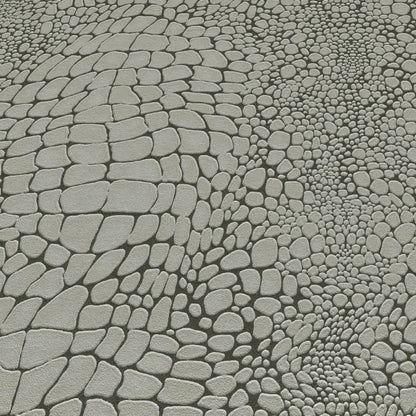 Gray cobblestone pavement with irregular rounded stones in varied sizes.