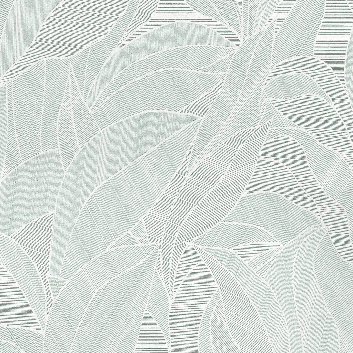 Mint green wallpaper with pale white linear leaf pattern for a tropical, organic look