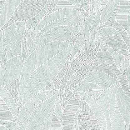 Mint green wallpaper with pale white linear leaf pattern for a tropical, organic look