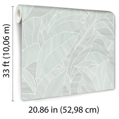 Green wallpaper roll with a pale teal leaf pattern; modern botanical design, mint-gray leaves, 52.98 cm wide.