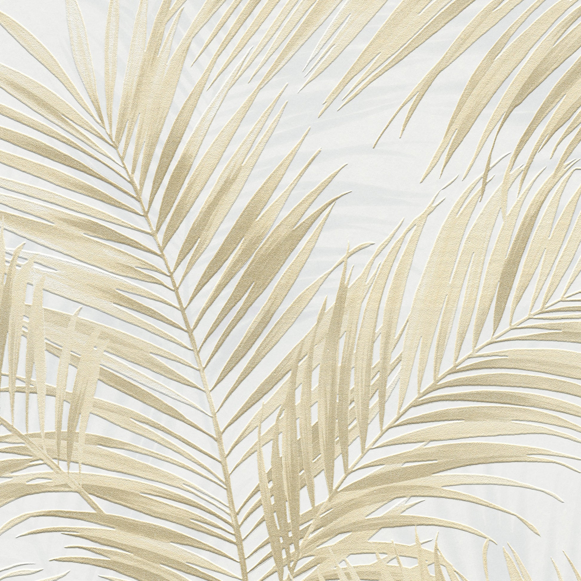 Beige palm frond pattern on a pale background; tropical wallpaper.