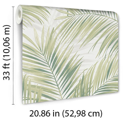 Rolled palm-leaf wallpaper with green olive leaves on white, tropical indoor decor sample.
