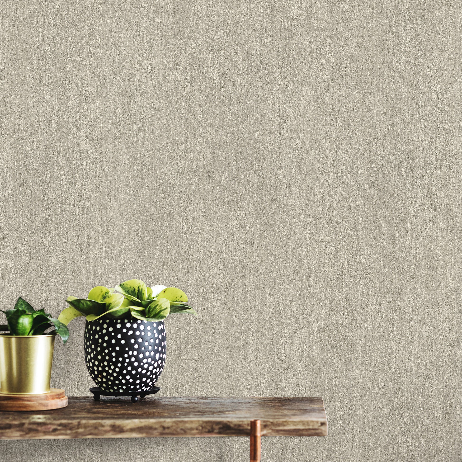 Beige textured wall, rustic wooden table with two potted plants: gold metal pot and black polka-dot pot with green leaves.