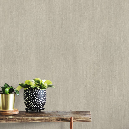 Beige textured wall, rustic wooden table with two potted plants: gold metal pot and black polka-dot pot with green leaves.