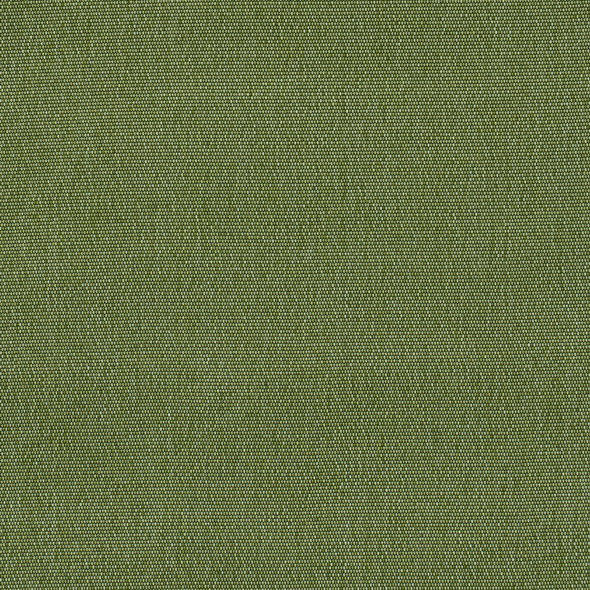 SCHUMACHER  Perfect Basics: Indoor/outdoor Cooper Indoor/outdoor WOVEN WOVEN Green   - 84140