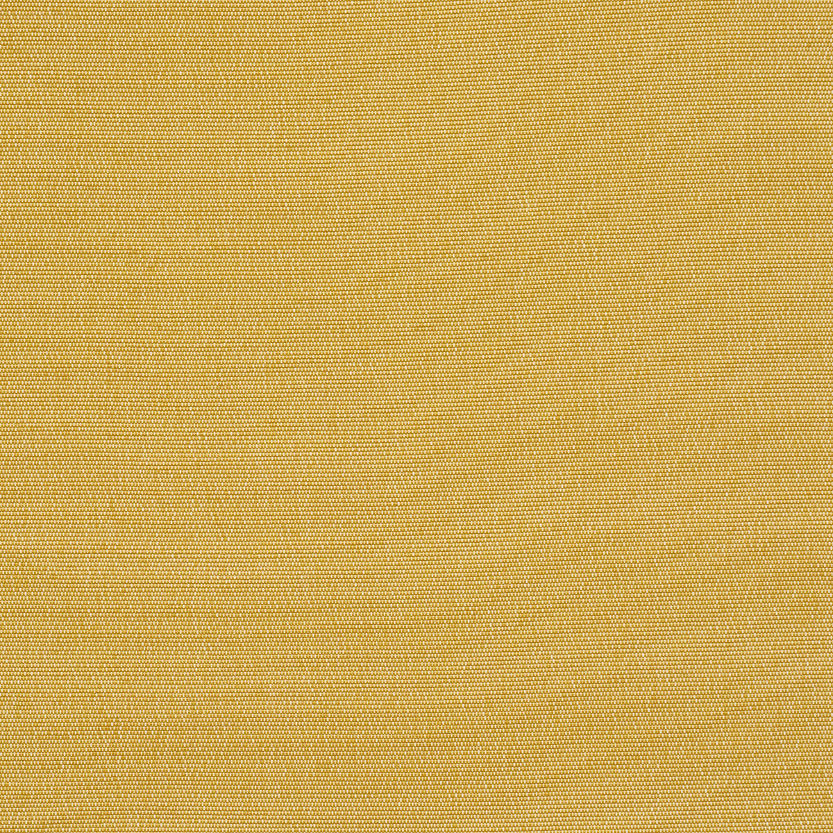 SCHUMACHER  Perfect Basics: Indoor/outdoor Cooper Indoor/outdoor WOVEN WOVEN Yellow   - 84141