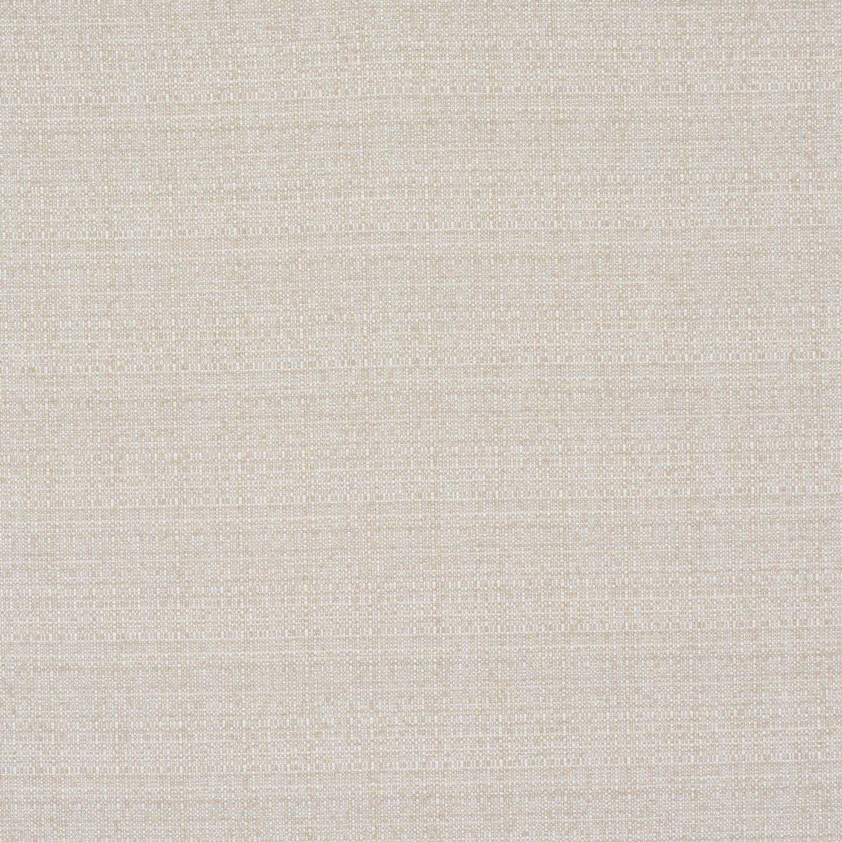 SCHUMACHER  Perfect Basics: Indoor/outdoor Sadie Indoor/outdoor WOVEN WOVEN Natural On White   - 84151