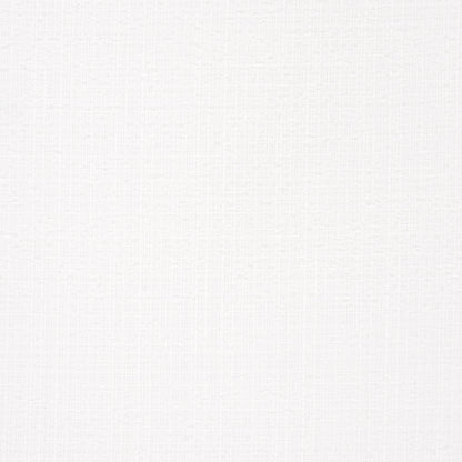 SCHUMACHER  Perfect Basics: Indoor/outdoor Sadie Indoor/outdoor WOVEN WOVEN White On White   - 84153