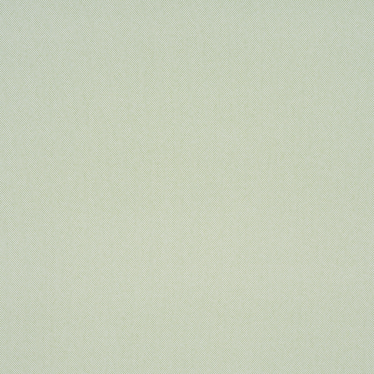 SCHUMACHER  PERFECT BASICS: INDOOR/OUTDOOR PIPPA INDOOR/OUTDOOR WOVEN WOVEN LEAF   - 84173