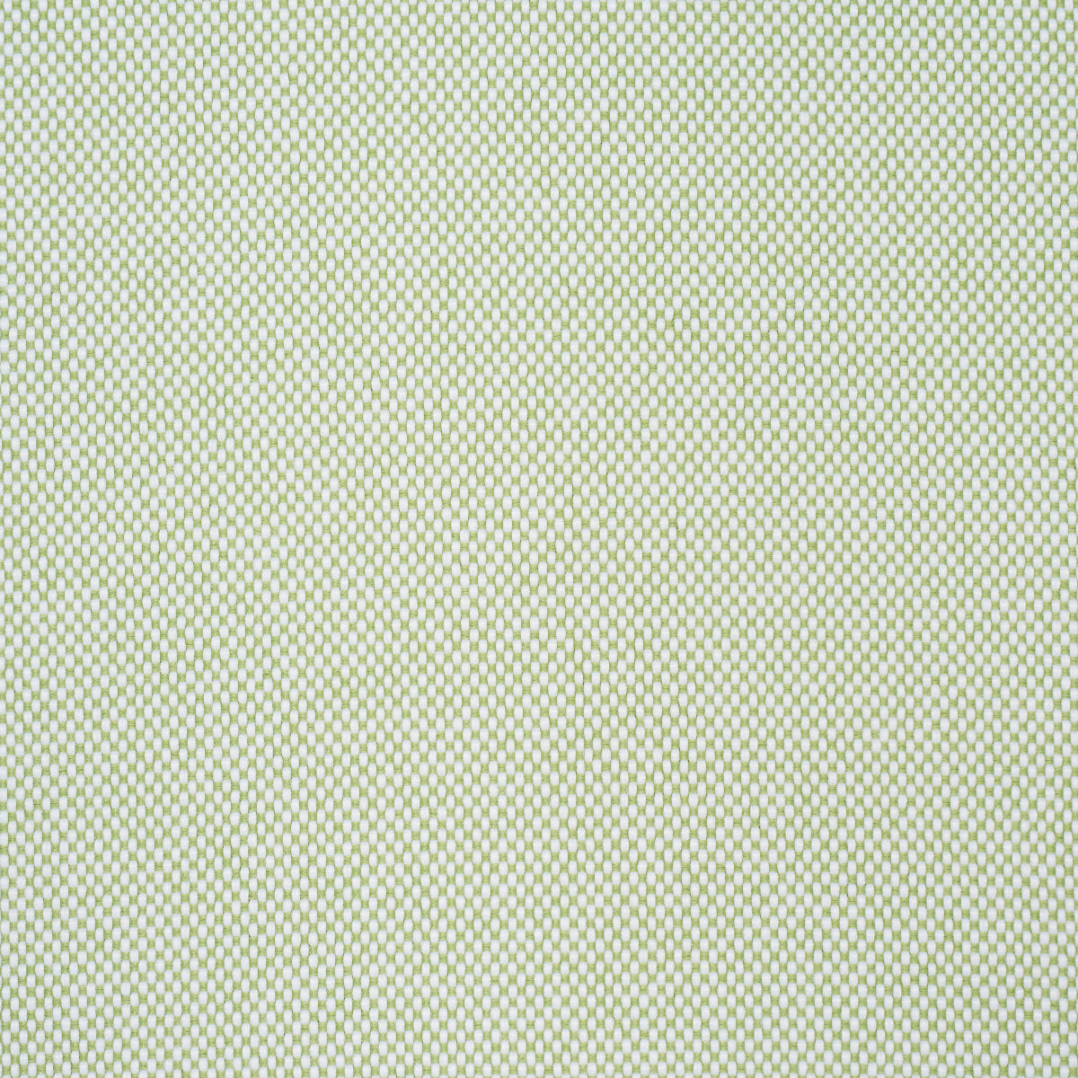 SCHUMACHER  PERFECT BASICS: INDOOR/OUTDOOR PIPPA INDOOR/OUTDOOR WOVEN WOVEN LEAF   - 84173