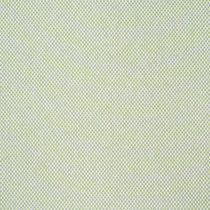 SCHUMACHER  PERFECT BASICS: INDOOR/OUTDOOR PIPPA INDOOR/OUTDOOR WOVEN WOVEN LEAF   - 84173