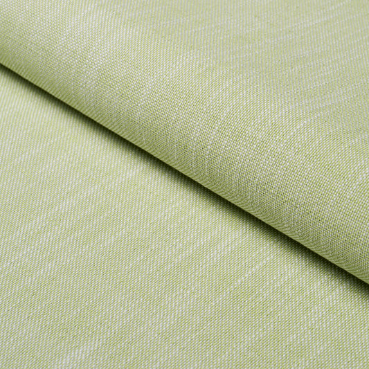 SCHUMACHER  PERFECT BASICS: INDOOR/OUTDOOR SASHA INDOOR/OUTDOOR WOVEN WOVEN GREEN   - 84232