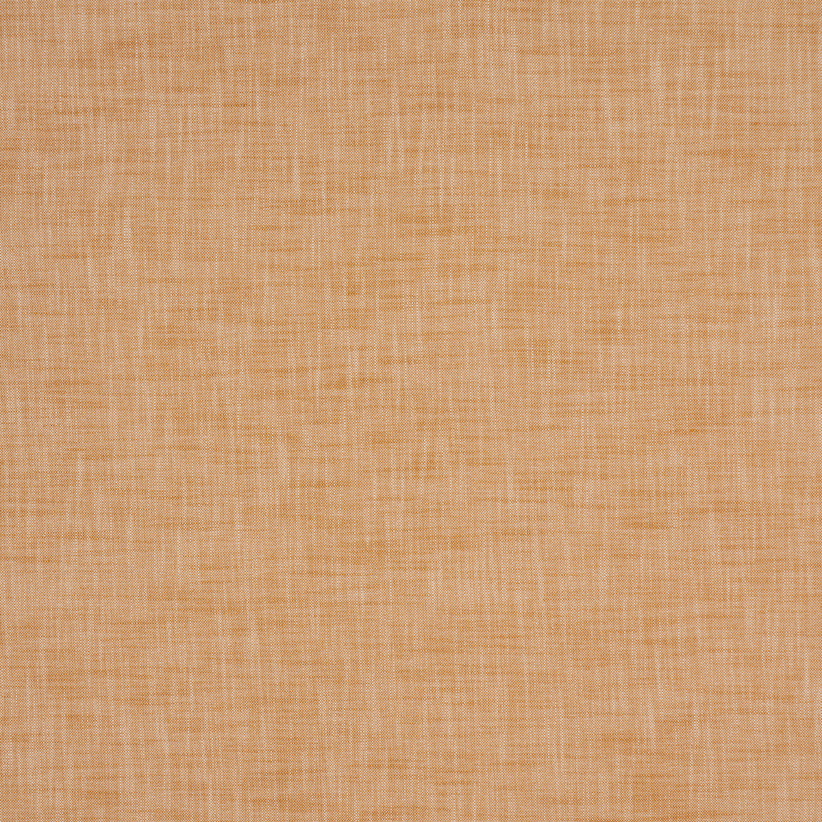 SCHUMACHER  PERFECT BASICS: INDOOR/OUTDOOR SASHA INDOOR/OUTDOOR WOVEN WOVEN TAN   - 84236