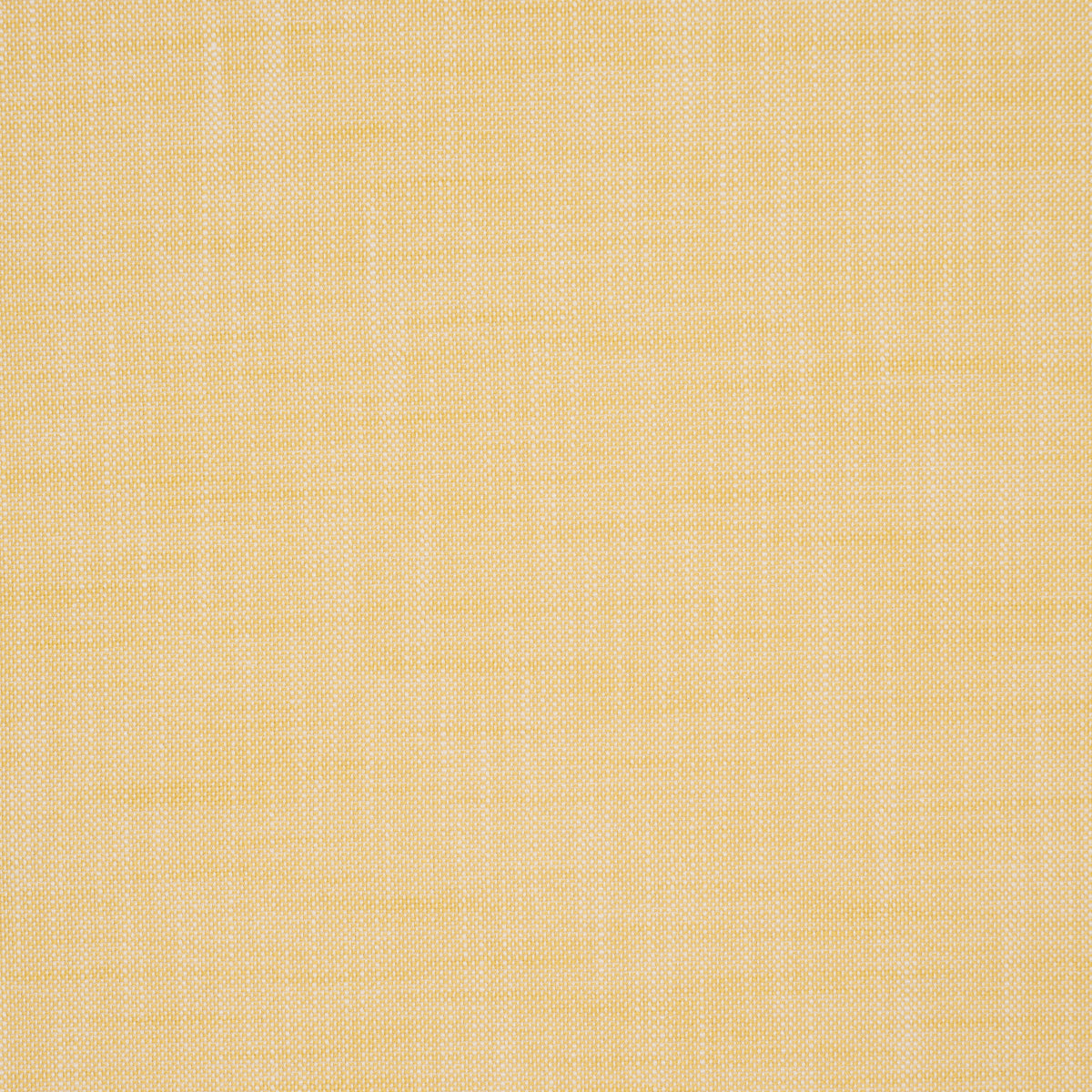 SCHUMACHER  PERFECT BASICS: INDOOR/OUTDOOR SASHA INDOOR/OUTDOOR WOVEN WOVEN YELLOW   - 84237