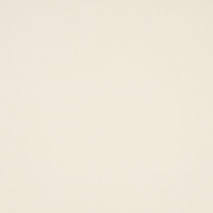 SCHUMACHER  PERFECT BASICS: INDOOR/OUTDOOR SASHA INDOOR/OUTDOOR WOVEN WOVEN IVORY   - 84238