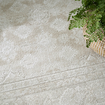 Beige textured rug with faint lines; woven basket planter with green ferns in the corner.