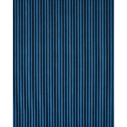 Blue striped rug with navy and royal blue vertical stripes.
