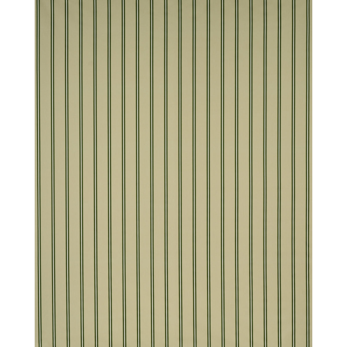 Olive green vertical striped wallpaper with narrow dark lines, modern textured decor.