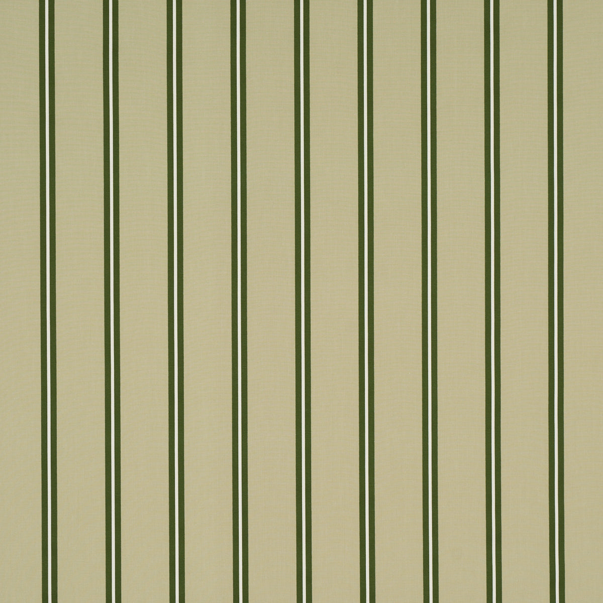 Beige wallpaper with bold vertical olive-green stripes, classic striped wall decor pattern.