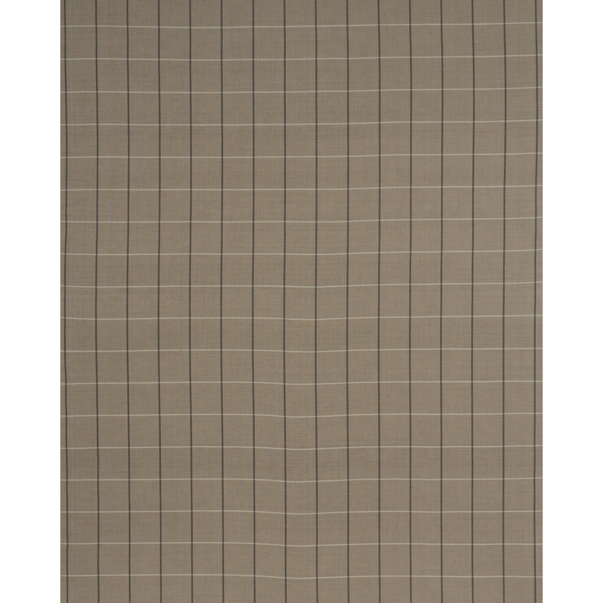 SCHUMACHER  CAROLINE Z HURLEY TAOS GRID   Taupe   - 85910