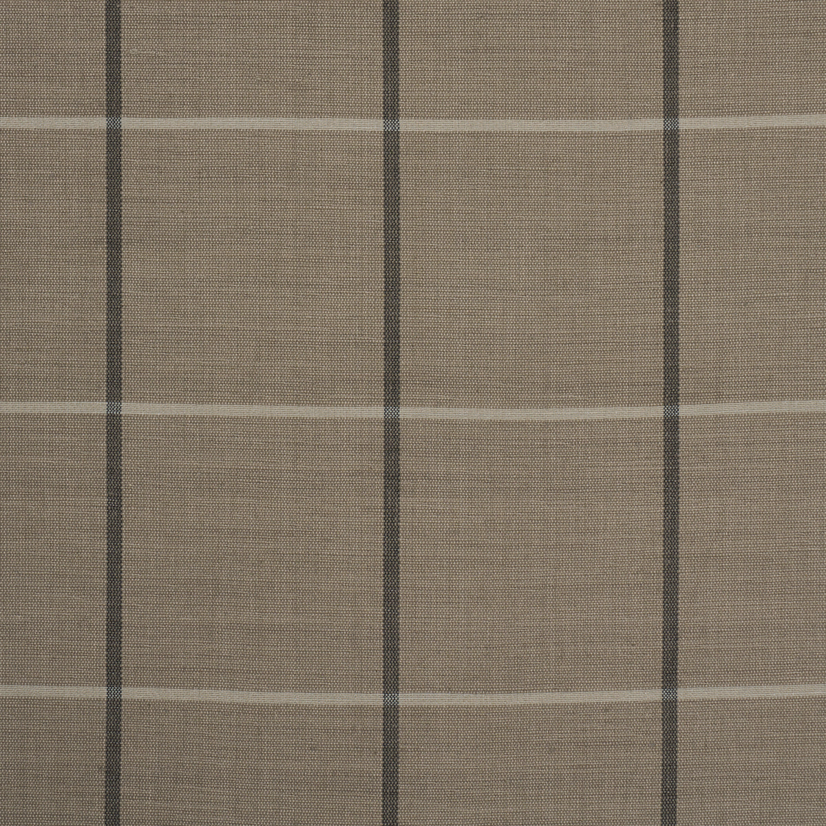 SCHUMACHER  CAROLINE Z HURLEY TAOS GRID   Taupe   - 85910
