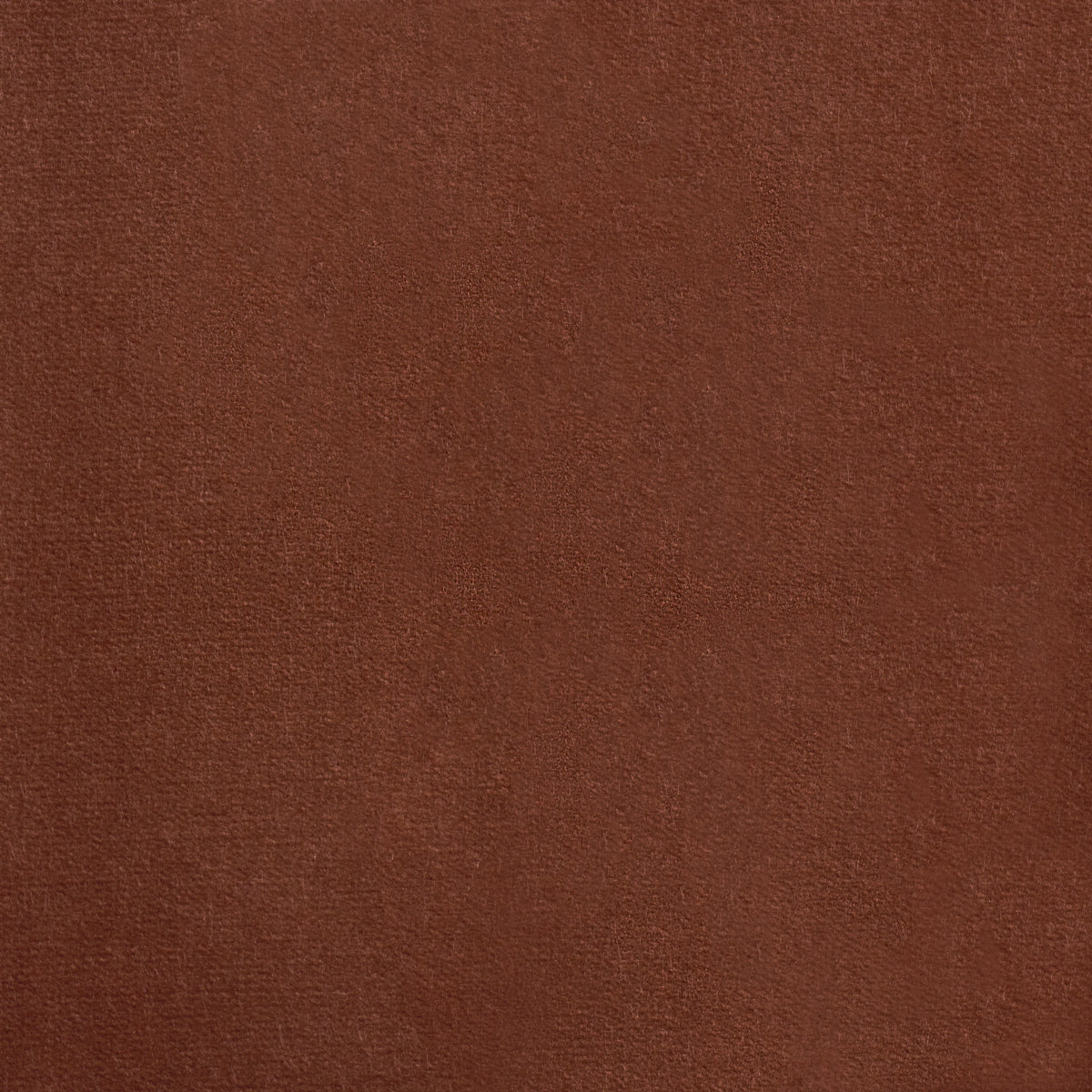 SCHUMACHER  ATELIER PARIS ROCKY PERFORMANCE VELVET   Terracotta   - 86473