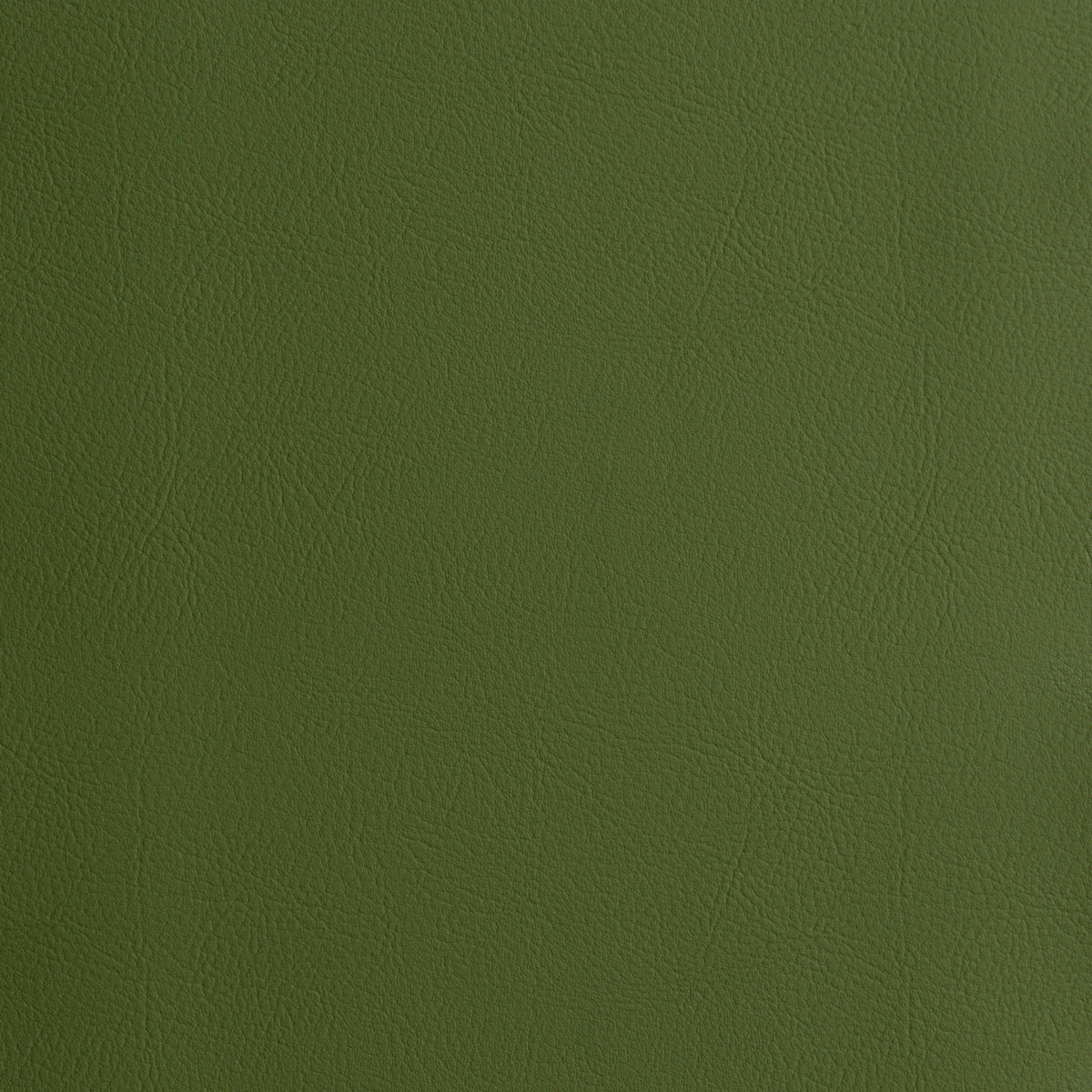 SCHUMACHER  PERFECT BASICS: VEGAN LEATHER & SUEDE VEGAN LEATHER INDOOR/OUTDOOR   Grass   - 87056