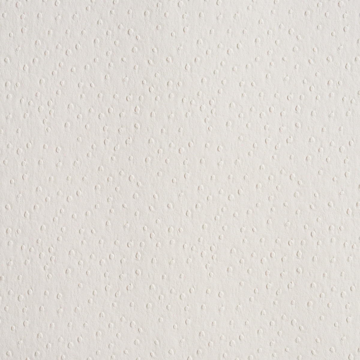 SCHUMACHER  PERFECT BASICS: VEGAN LEATHER & SUEDE OSTRICH VEGAN LEATHER   Ivory   - 87280