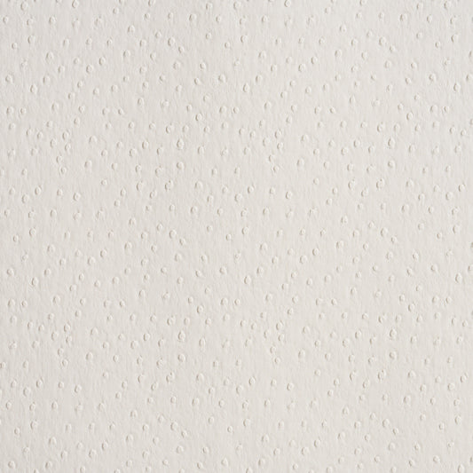 SCHUMACHER  PERFECT BASICS: VEGAN LEATHER & SUEDE OSTRICH VEGAN LEATHER   Ivory   - 87280