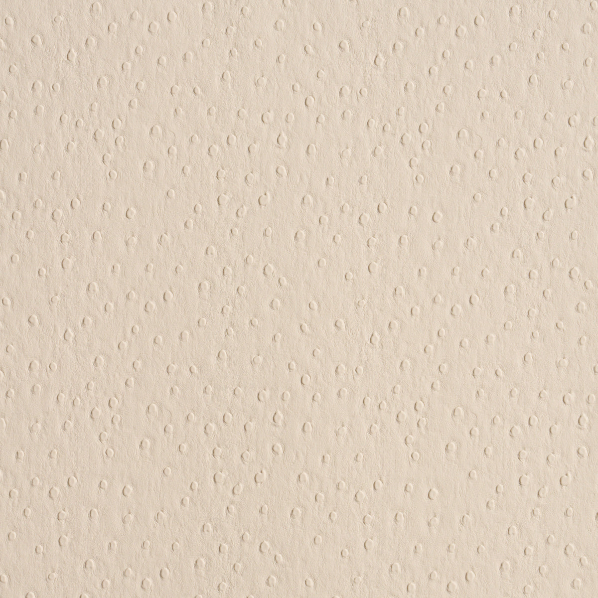 SCHUMACHER  PERFECT BASICS: VEGAN LEATHER & SUEDE OSTRICH VEGAN LEATHER   Cream   - 87281