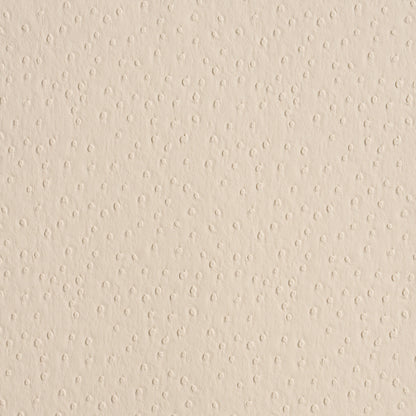 SCHUMACHER  PERFECT BASICS: VEGAN LEATHER & SUEDE OSTRICH VEGAN LEATHER   Cream   - 87281