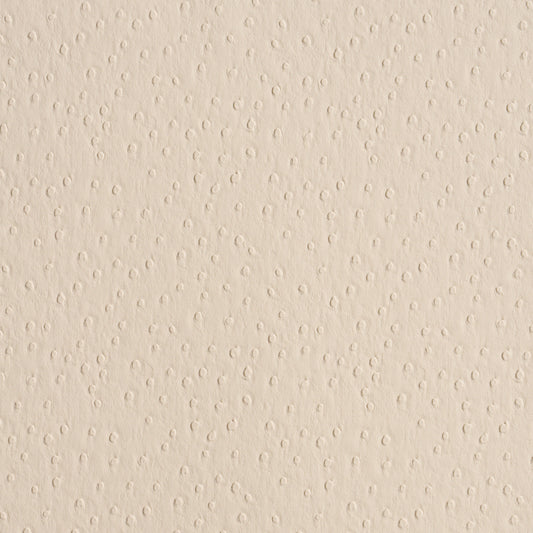SCHUMACHER  PERFECT BASICS: VEGAN LEATHER & SUEDE OSTRICH VEGAN LEATHER   Cream   - 87281