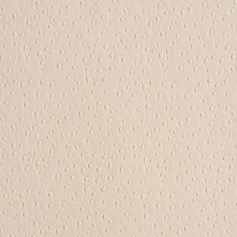 SCHUMACHER  PERFECT BASICS: VEGAN LEATHER & SUEDE OSTRICH VEGAN LEATHER   Cream   - 87281