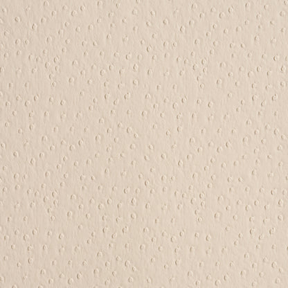 SCHUMACHER  PERFECT BASICS: VEGAN LEATHER & SUEDE OSTRICH VEGAN LEATHER   Cream   - 87281
