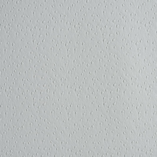 SCHUMACHER  PERFECT BASICS: VEGAN LEATHER & SUEDE OSTRICH VEGAN LEATHER   Fog   - 87282