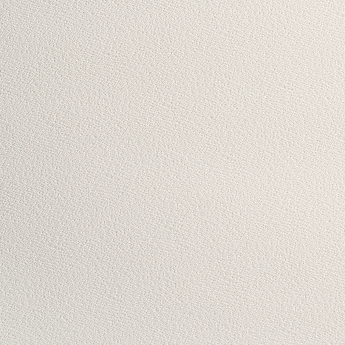 SCHUMACHER  PERFECT BASICS: VEGAN LEATHER & SUEDE TEXTURED VEGAN LEATHER   Ivory   - 87300