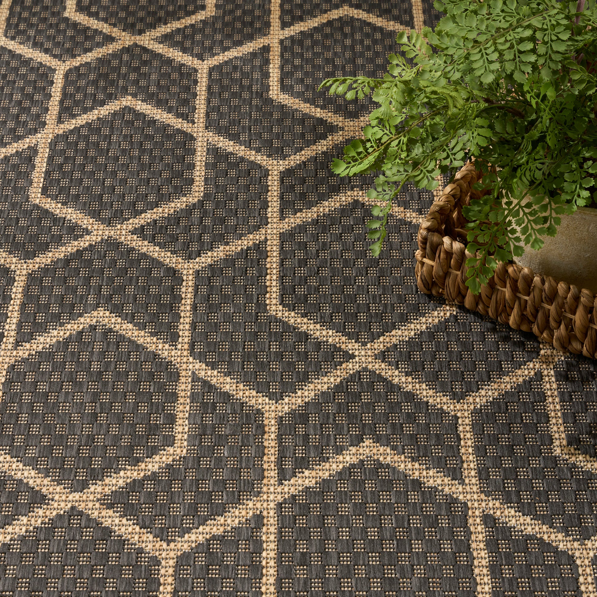 Dark blue geometric rug with tan hexagon motif and woven texture; green fern in a wicker basket on edge.