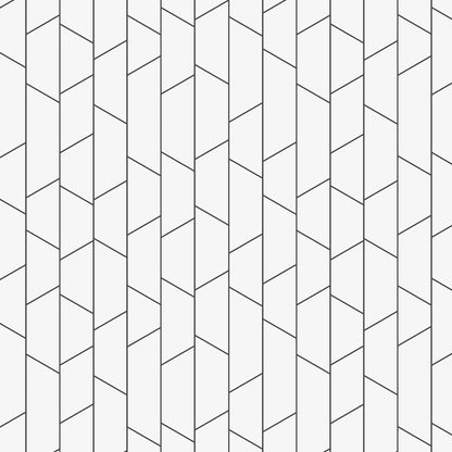 SCHUMACHER  Borastapeter ANGLE   BLACK ON WHITE   - 8821