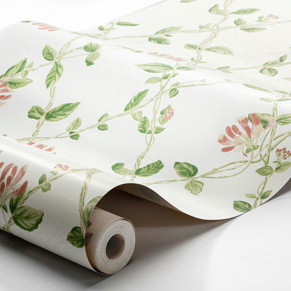 SCHUMACHER  Borastapeter HONEYSUCKLE   IVORY   - 8852