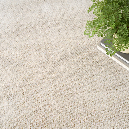 Beige patterned rug with a subtle diamond texture; a green fern sits on top of stacked books in the top-right corner.