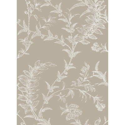 COLE & SON LUDLOW PRINT--BOTANICAL & FLORAL- BLACK AND GOLD   - 88/1001.CS.0