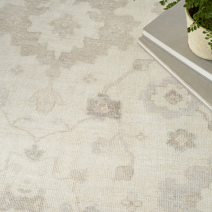 Soft beige patterned area rug with subtle geometric motifs; nearby stack of gray books and a green potted plant.