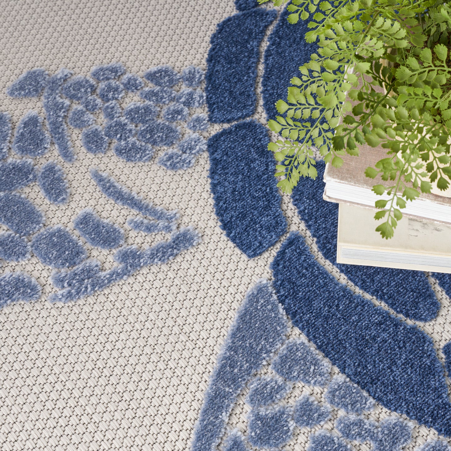 Blue and gray floral-pattern rug with a light background; green fern and books resting on the corner.