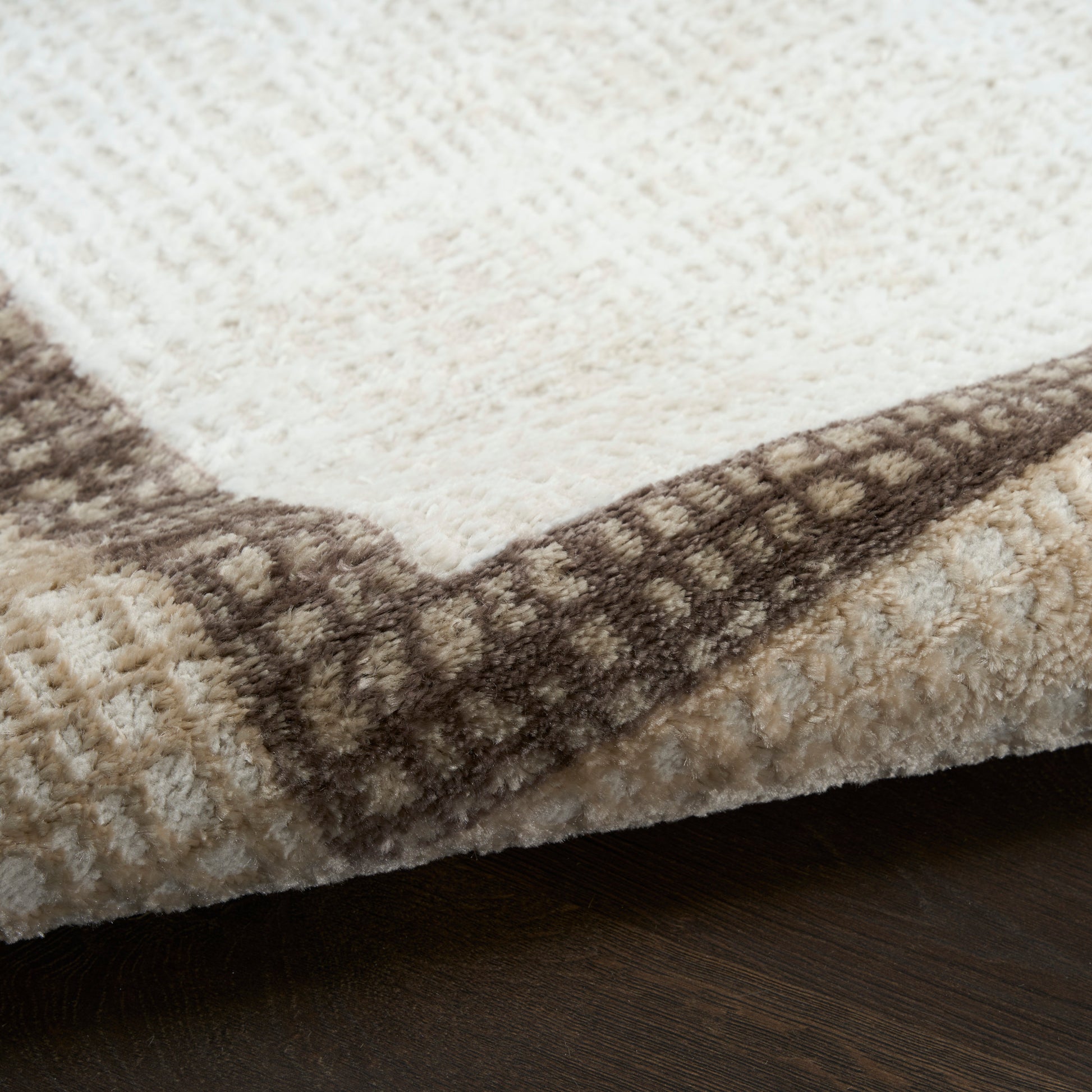 Close-up of a cream and brown plush area rug with a geometric border, soft pile, resting on dark wood floor.