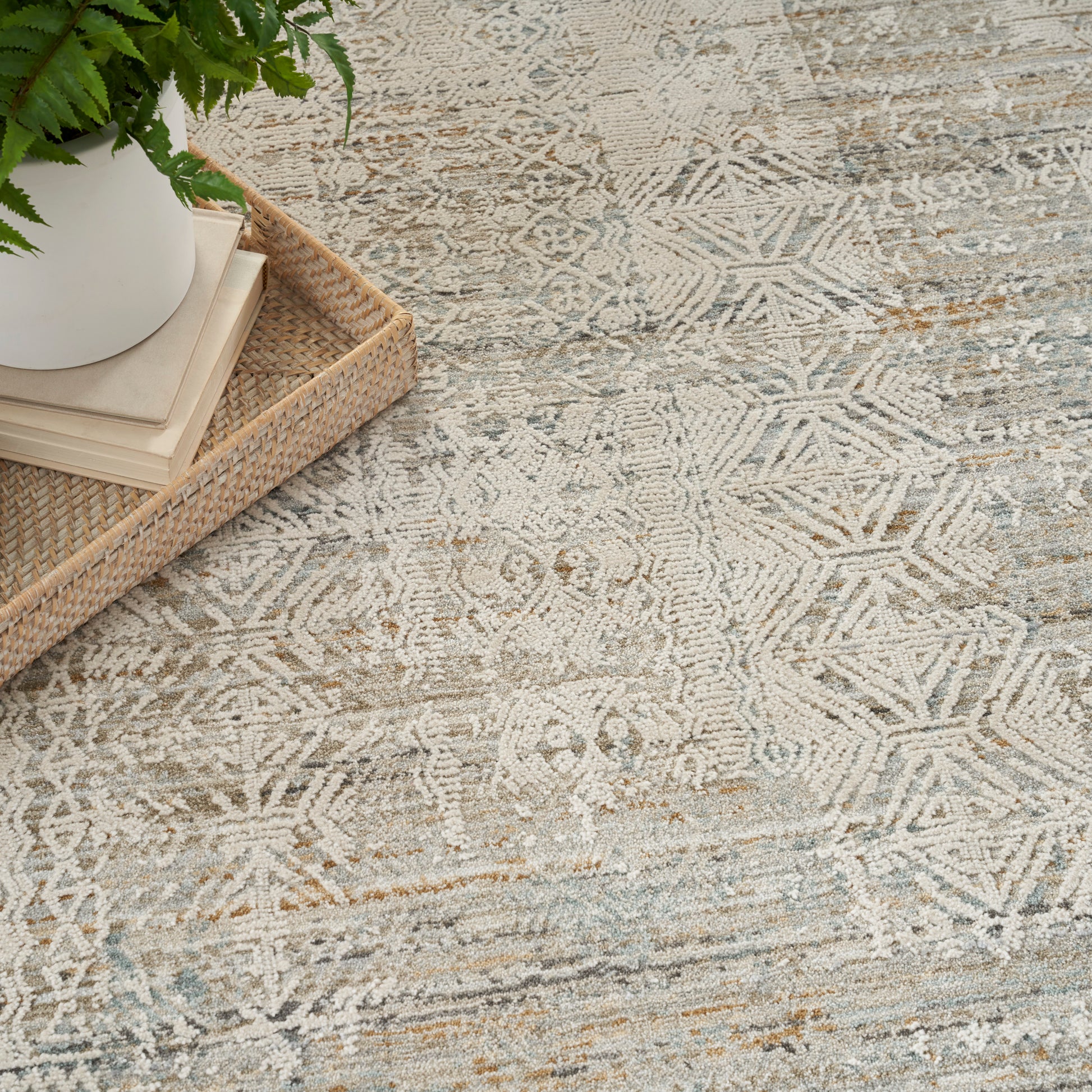 Beige distressed geometric area rug with pale blue accents; woven rattan tray, stack of books, and white potted plant.