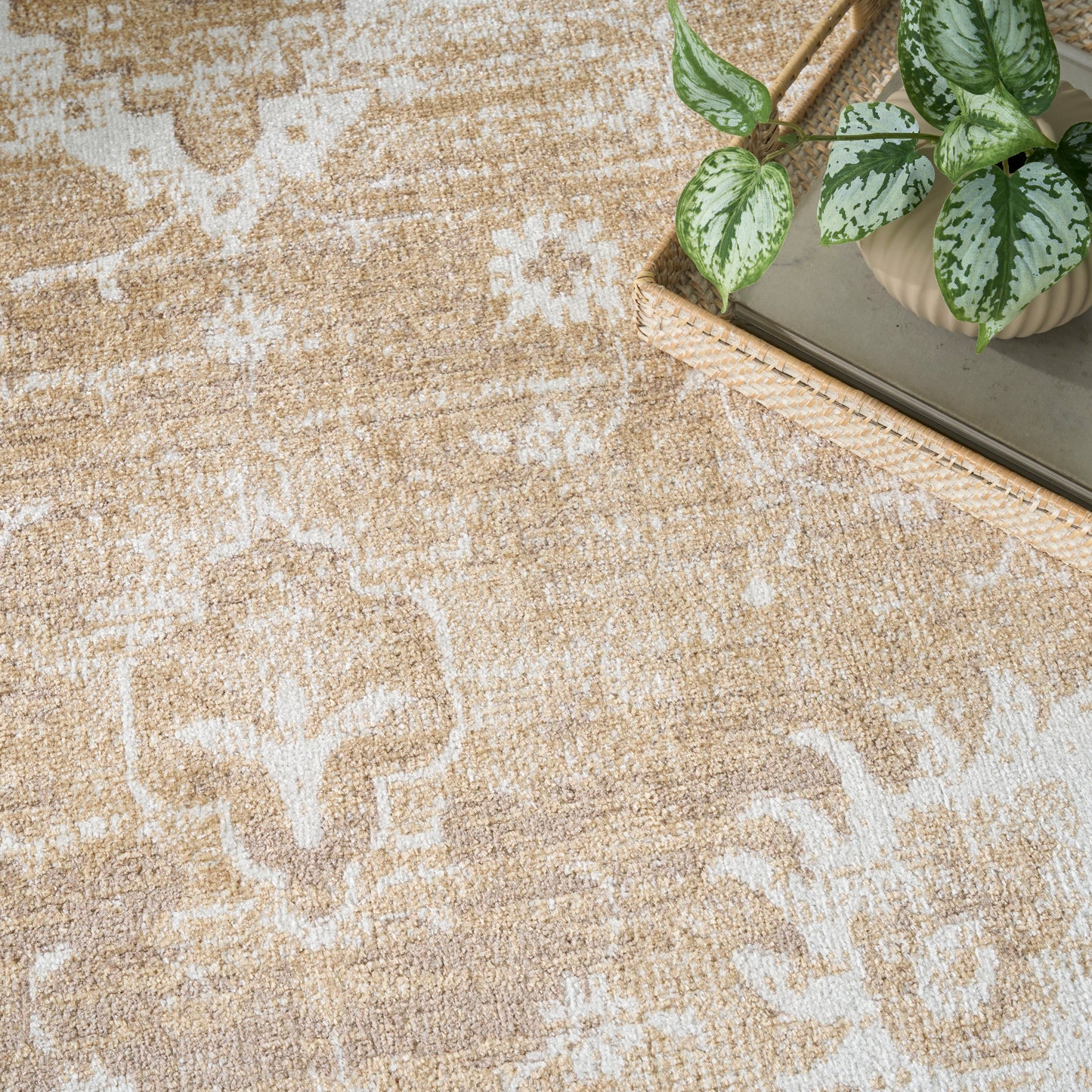 Beige patterned rug with white damask motifs; top-right corner features a metal tray and a potted variegated green plant.