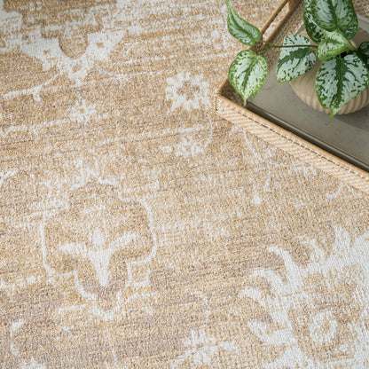 Beige patterned rug with white damask motifs; top-right corner features a metal tray and a potted variegated green plant.